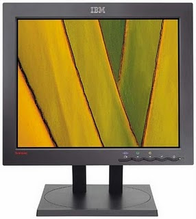 IBM L170 TFT Monitor - driver download software